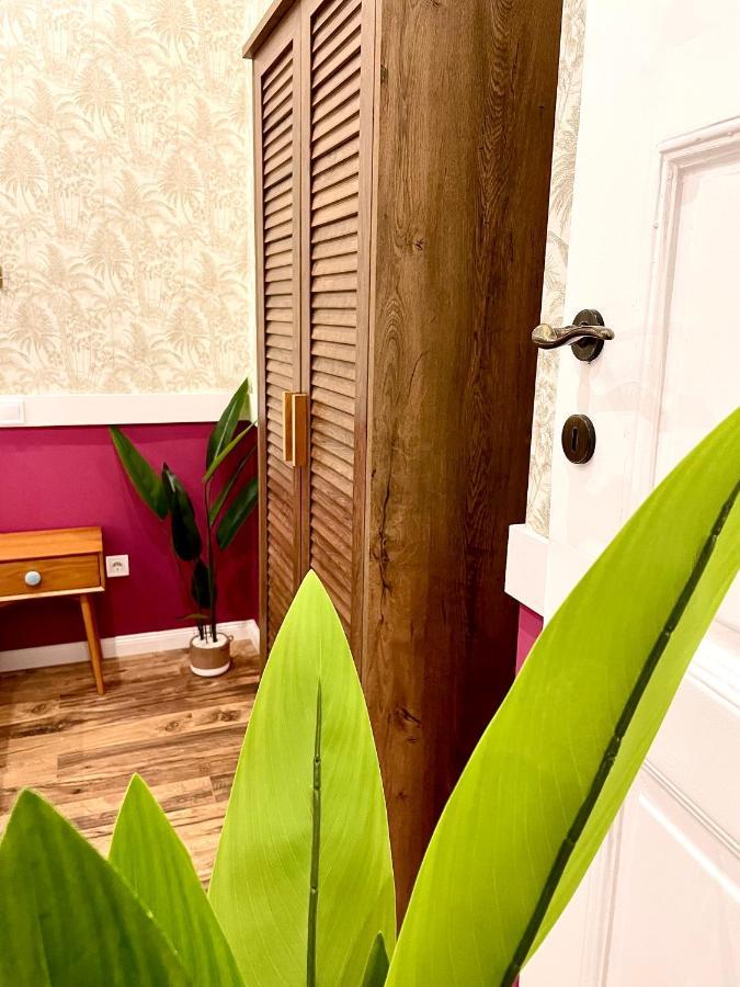 Thermal Apartmanok Raday 4 - Zendaya Hajduszoboszlo Luaran gambar